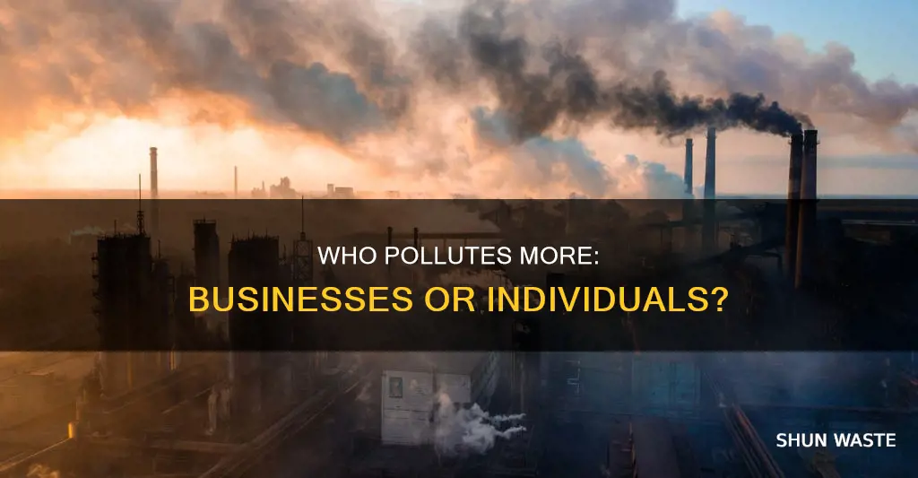 are businesses the largest polluters