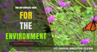 Butterflies' Environmental Impact: Pollinators, Biodiversity, and Ecosystem Benefits Explained