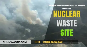 California Wildfires Threaten Nuclear Waste Site: Fact or Fiction?