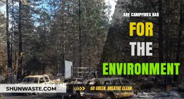 Campfires and Ecology: Environmental Impact of Open Fires Explored