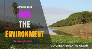 Environmental Impact of Canals: Are They Harming Our Ecosystems?