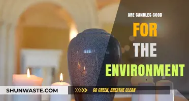 Eco-Friendly or Not? The Environmental Impact of Burning Candles