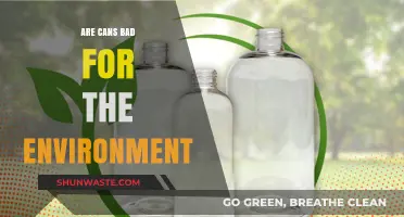 Are Cans Eco-Friendly? Uncovering Their Environmental Impact and Sustainability