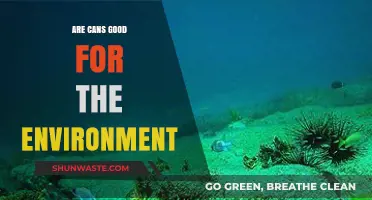 Are Aluminum Cans Eco-Friendly? Unpacking Their Environmental Impact