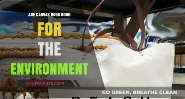 Are Canvas Bags Eco-Friendly? Uncovering Their Environmental Impact
