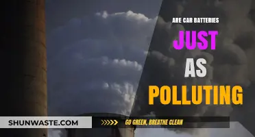 Car Batteries: Pollution's Dark Horse?