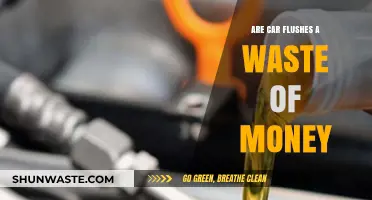 Are Car Flushes Necessary or Just a Costly Myth?