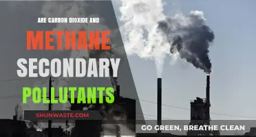 What Makes Carbon Dioxide and Methane Secondary Pollutants?