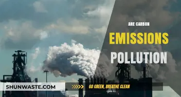 Carbon Emissions: Pollution or Natural?