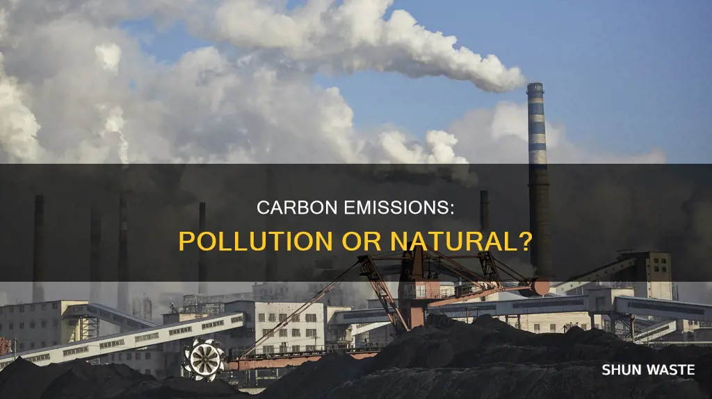are carbon emissions pollution