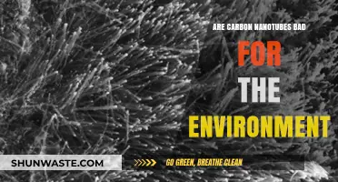 Carbon Nanotubes: Environmental Impact and Sustainability Concerns Explored