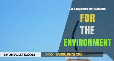 Carbonated Drinks' Environmental Impact: Uncovering the Hidden Costs of Fizz