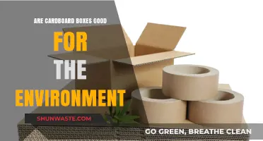 Eco-Friendly Packaging: Are Cardboard Boxes Truly Green Solutions?