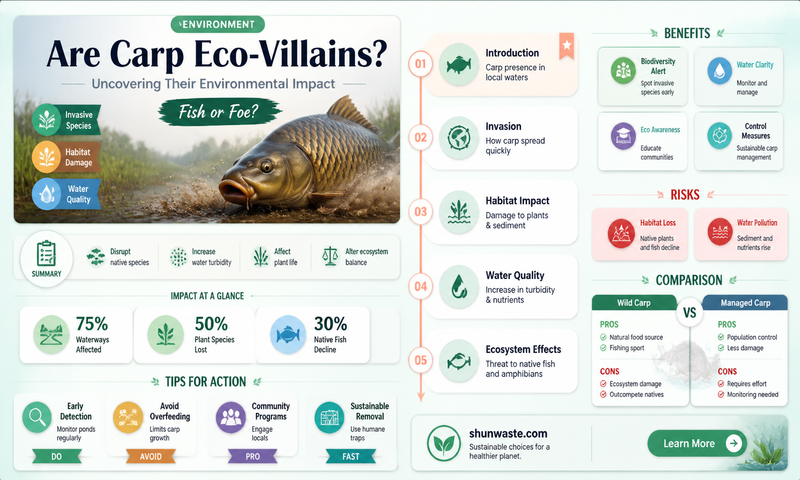 are carp bad for the environment