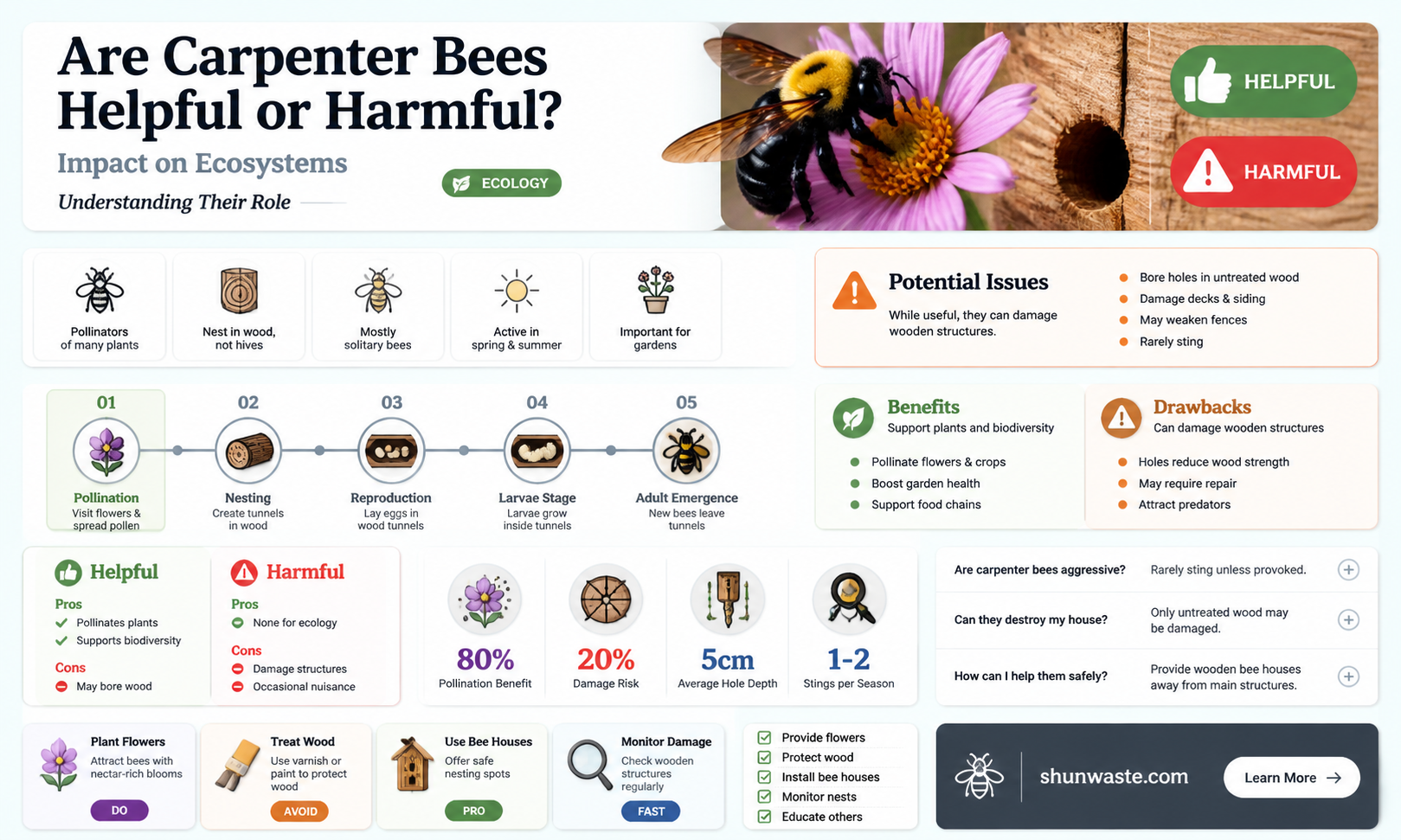are carpenter bees bad for the environment
