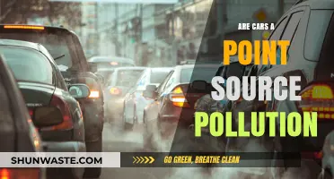 Cars: Point-Source Pollution and Its Impact