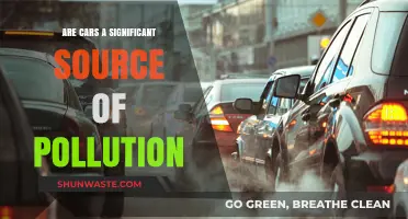 Cars: Major Polluters or Not?