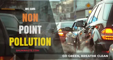 Cars and Pollution: The Non-Point Source Problem
