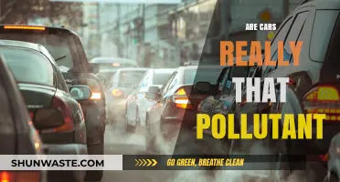 Cars: Pollutant or Not?