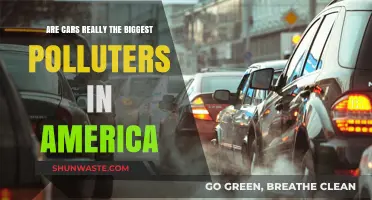 Cars: America's Pollution Problem?
