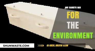 Eco-Friendly Burials: Are Traditional Caskets Harming Our Planet?
