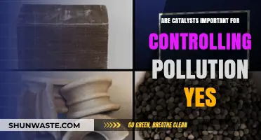 Catalysts: Pollution Control's Unsung Heroes