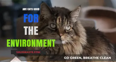 Cats and the Environment: Uncovering Their Eco-Friendly Impact