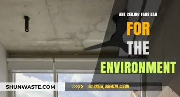 Ceiling Fans and Eco-Impact: Are They Environmentally Friendly?