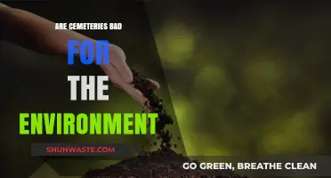 Cemeteries' Environmental Impact: Sustainable Burial Practices and Green Alternatives