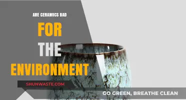 Ceramics' Environmental Impact: Sustainable Choice or Eco-Friendly Myth?