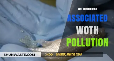 Fish and Pollution: An Unlikely Association?