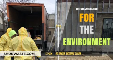 Cesspools' Environmental Impact: Harmful Effects and Sustainable Alternatives