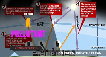 The Danger of CFCs: Harmful Pollutants or Not?