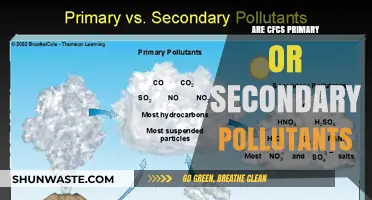 CFCs: Primary or Secondary Pollutants?