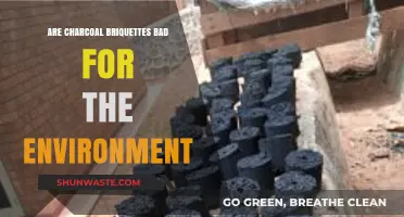 Charcoal Briquettes: Environmental Impact and Sustainable Alternatives Explored