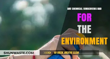 Chemical Sunscreens: Environmental Impact and Eco-Friendly Alternatives Explained
