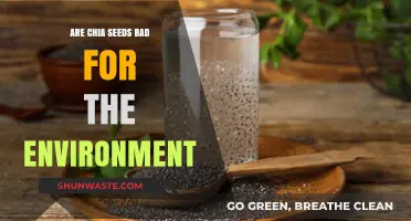 Chia Seeds and Sustainability: Environmental Impact Explained