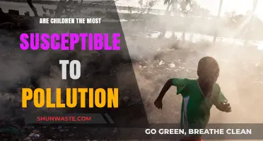 Children: Pollution's Most Vulnerable Victims?
