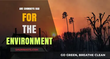 Chimneys and Environmental Impact: Uncovering the Hidden Ecological Costs