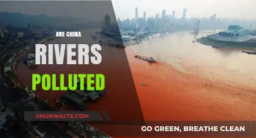 China's Rivers: Polluted or Pristine?
