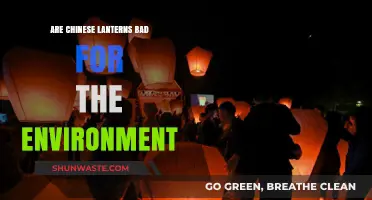 Chinese Lanterns: Environmental Hazard or Harmless Tradition?