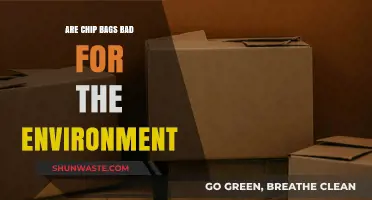 Chip Bags and the Environment: Unwrapping Their Ecological Impact