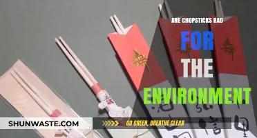 Chopsticks' Environmental Impact: Sustainable or Harmful for Our Planet?