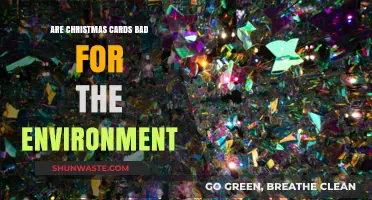 Eco-Friendly Holidays: The Environmental Impact of Christmas Cards