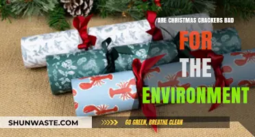 Eco-Friendly Celebrations: Are Christmas Crackers Harming Our Planet?
