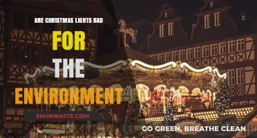 Eco-Friendly Holidays: The Environmental Impact of Christmas Lights