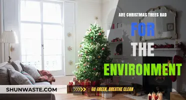 Are Christmas Trees Eco-Friendly? Unwrapping Their Environmental Impact