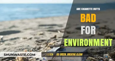 Cigarette Butts: The Hidden Environmental Hazard We Overlook Daily