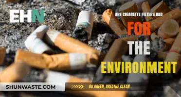 Cigarette Filters: Environmental Hazard or Misunderstood Waste?