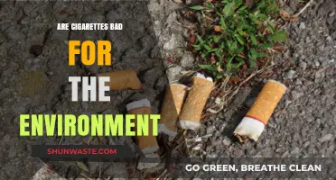 Cigarettes' Environmental Impact: Pollution, Waste, and Ecosystem Destruction Explained